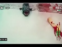 VID-20170614-WA0046